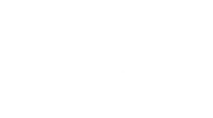 LOGO 橫式 白